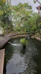 Choon Sing Garden (D20), Semi-Detached #563288711